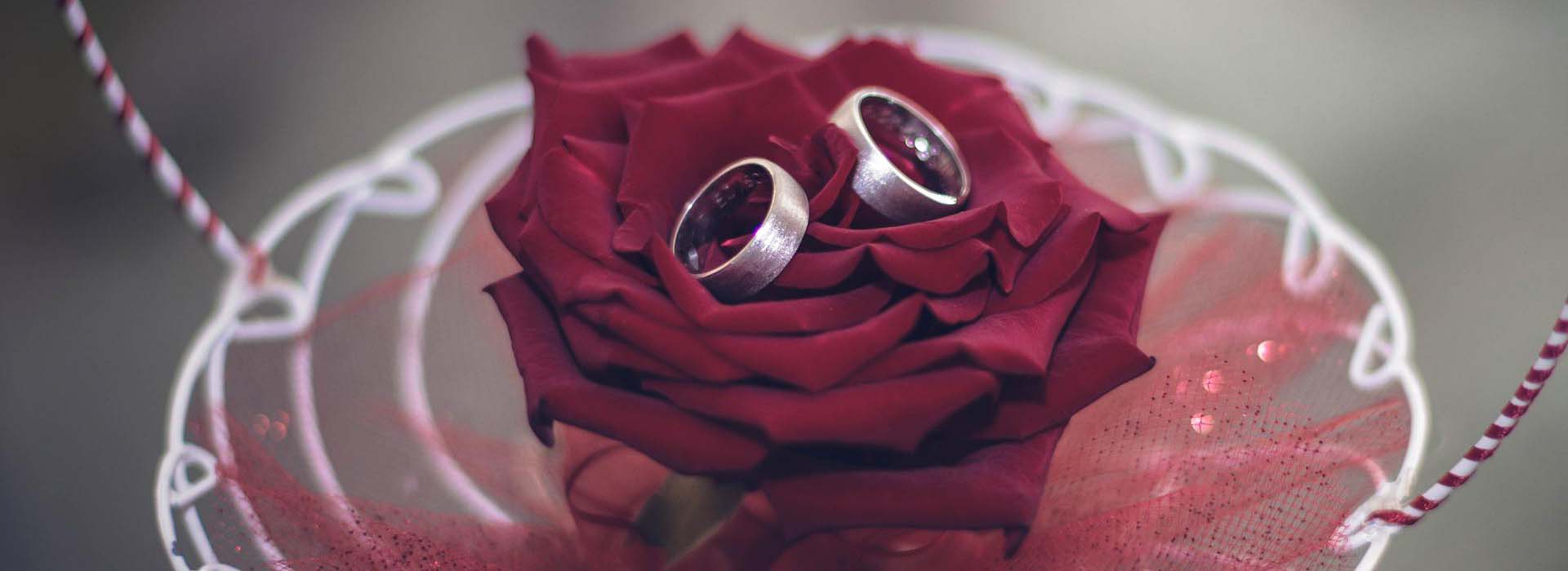 Banner 2